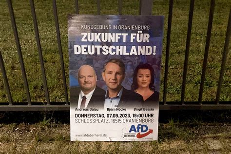 afd germany vox